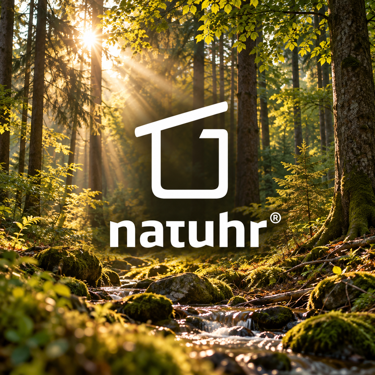 Natuhr Logo in deutschem Mischwald mit Bach und warmen Sonnenstrahlen