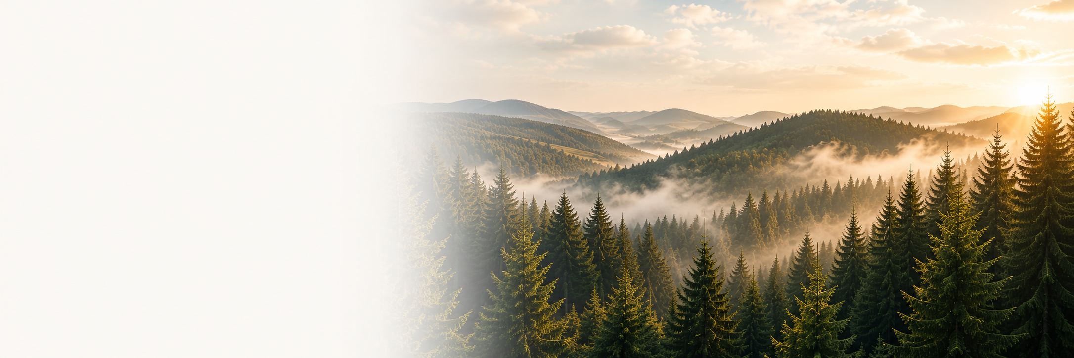 AMS – Uhrentradition aus dem Schwarzwald