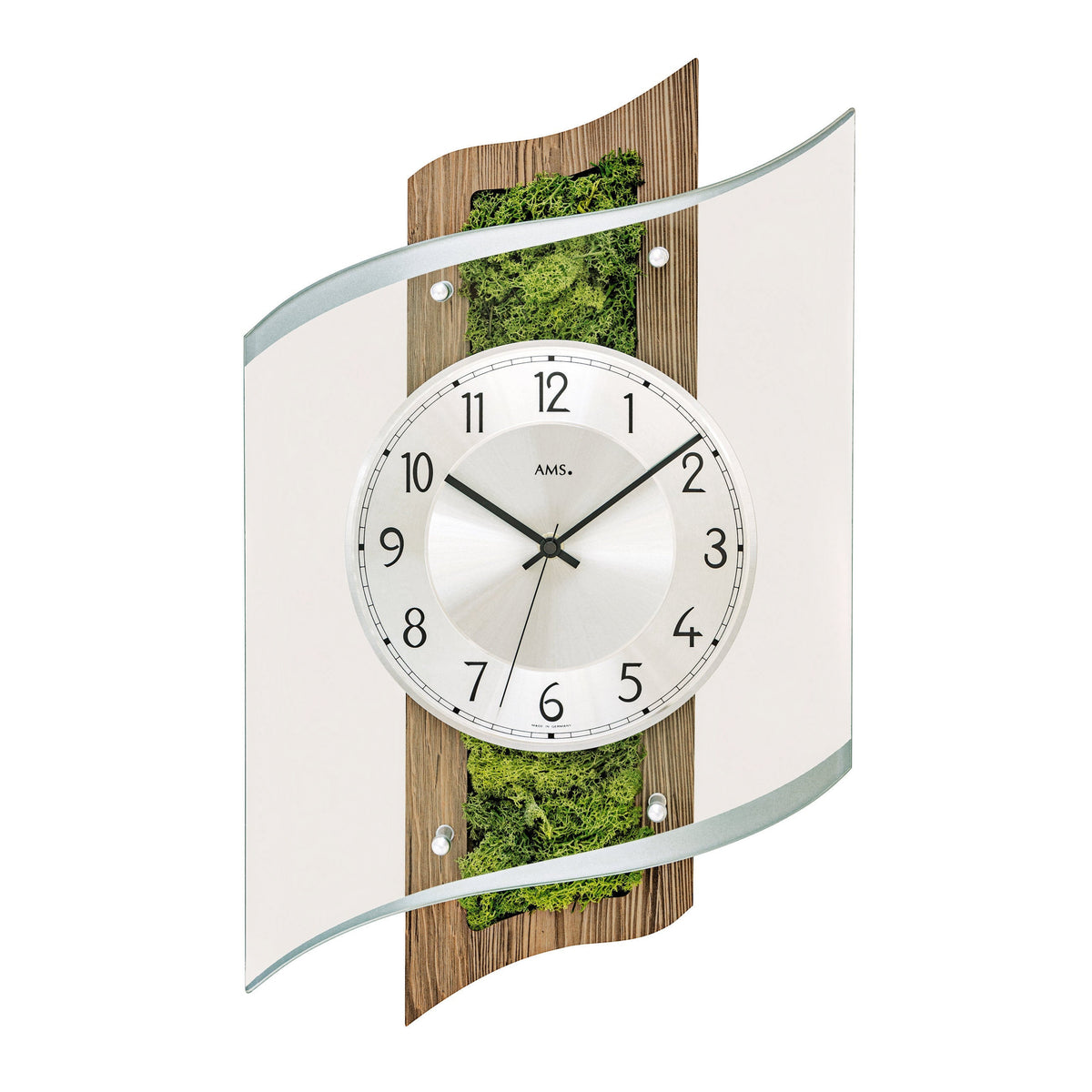 Standuhren.com 🕰️ AMS F5517 Funkwanduhr mit Nussbaumholz, echtem Moos und facettiertem Mineralglas in modernem Design