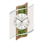 Standuhren.com 🕰️ AMS F5517 Funkwanduhr mit Nussbaumholz, echtem Moos und facettiertem Mineralglas in modernem Design