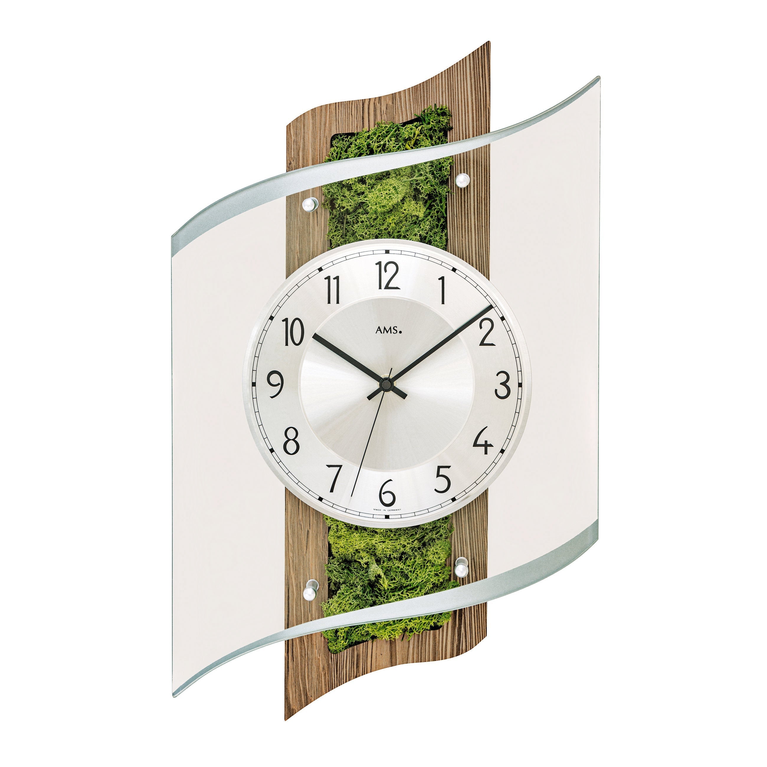 Standuhren.com 🕰️ AMS F5517 Funkwanduhr mit Nussbaumholz, echtem Moos und facettiertem Mineralglas in modernem Design